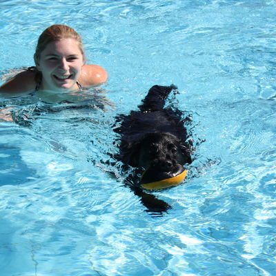 Hundeschwimmen 2016